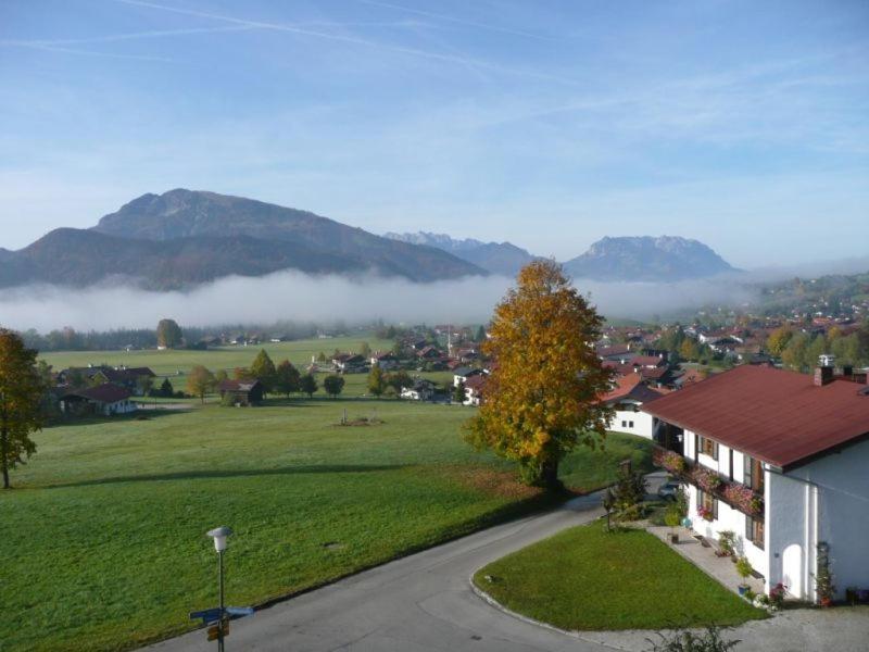 Hotel Haus Elfriede Reit im Winkl Zewnętrze zdjęcie